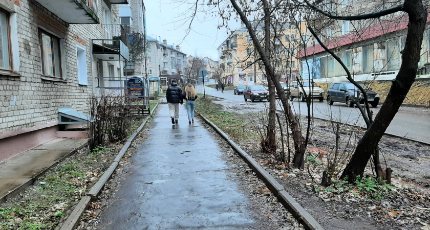 Прогноз погоды на 17 ноября: чепчан предупреждают о сильном ветре и морозах