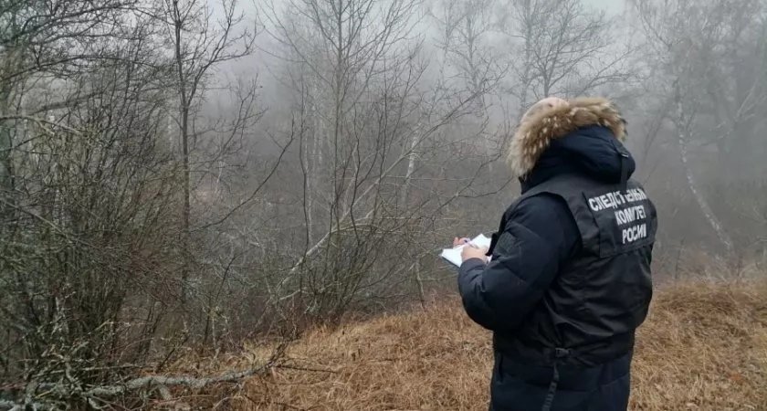 В Кирово-Чепецком районе нашли тело пропавшей местной жительницы 