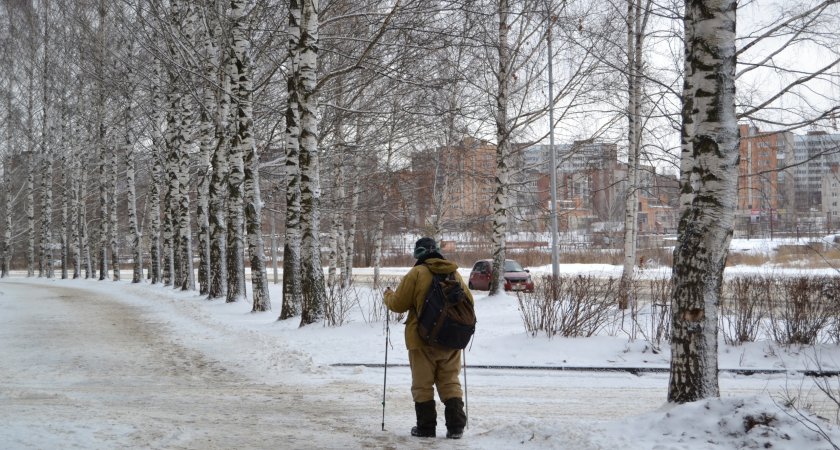 Потепление, снег и сильный ветер: синоптики рассказали о погоде в Чепецке на новой неделе