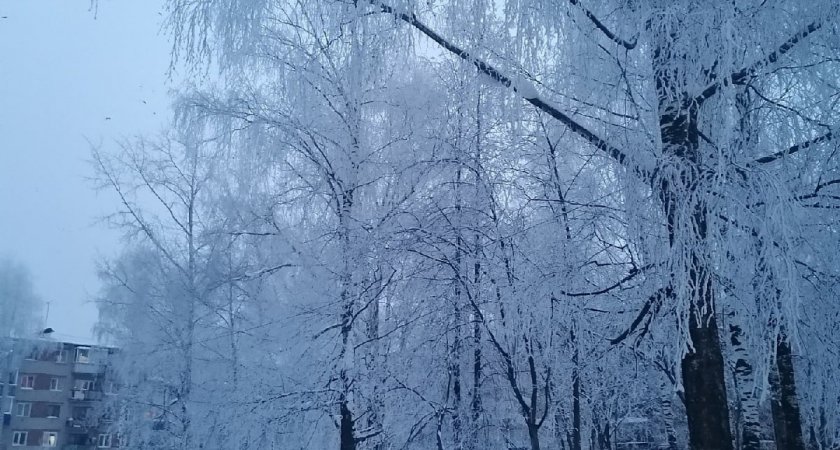 В понедельник в Кировской области может похолодать до -38 градусов