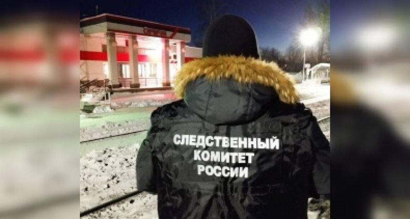 Смерть на железной дороге: в Кировской области женщина погибла под колесами поезда