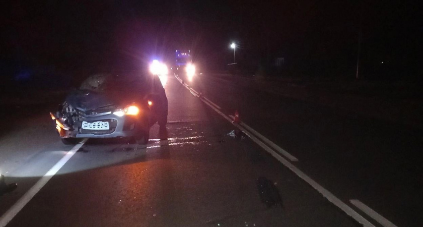 Смертельная авария: на одной из трасс Кировской области сбили 22-летнюю девушку