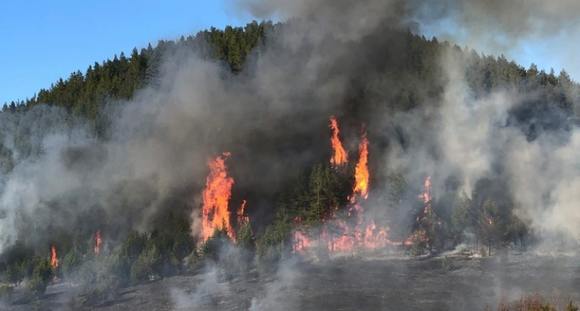 В лесах Кировской области начался пожароопасный сезон