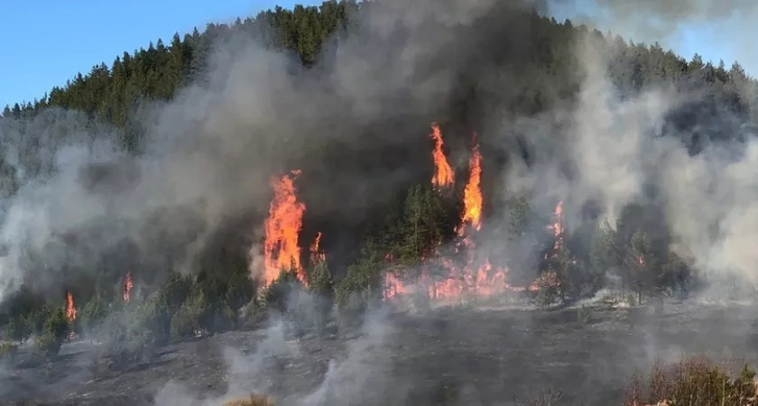 Опасность подступает: в Кировской области за неделю недели зафиксировано 7 лесных пожаров
