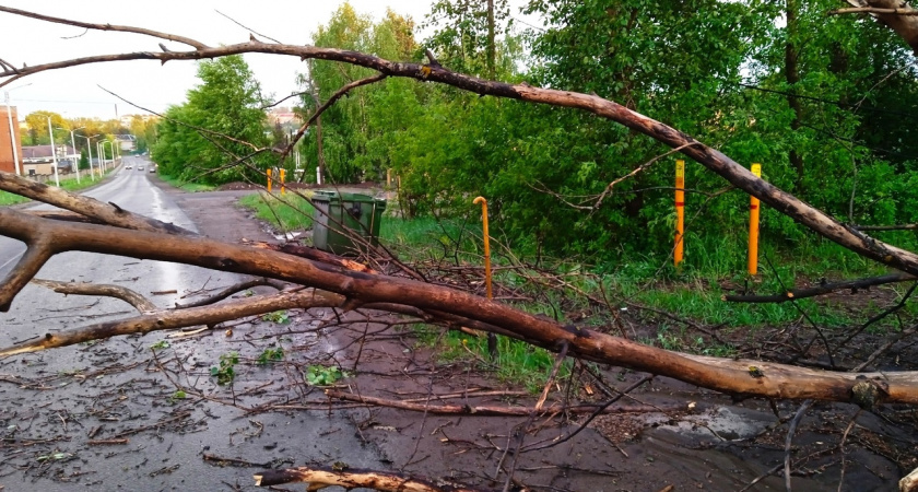 Возможны смерчи и град: жителей Кировской области предупреждают об опасных погодных явлени