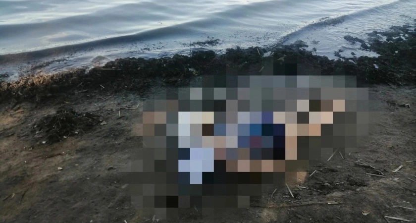 В Кировской области у пруда нашли изувеченное тело мужчины