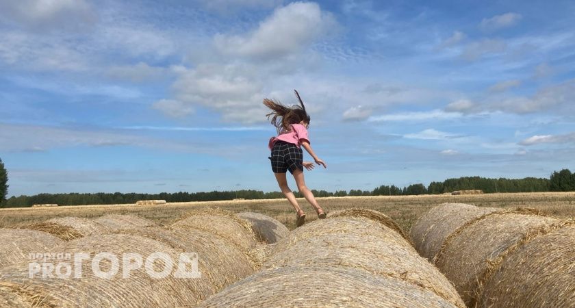 Опасные погодные аномалии: Гидрометцентр России предупреждает о нетипичной жаре