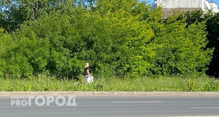 Маткапитал, обманутые дольщики и вейпы: какие законы вступают в силу в России с июня