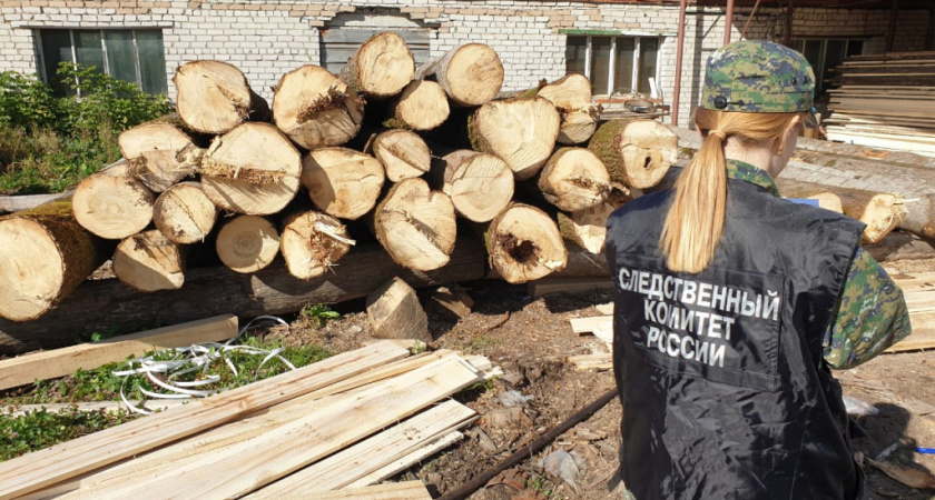 В Кирово-Чепецком районе работника лесопилки затянуло в станок