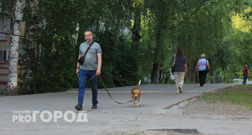 Заморозки до -3 градусов: в Кировской области резко похолодает