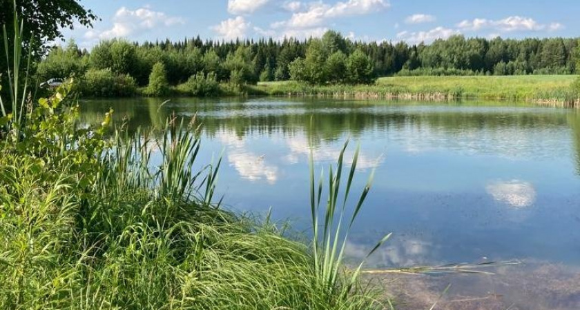 В Оричевском районе во время купания утонула 14-летняя девочка