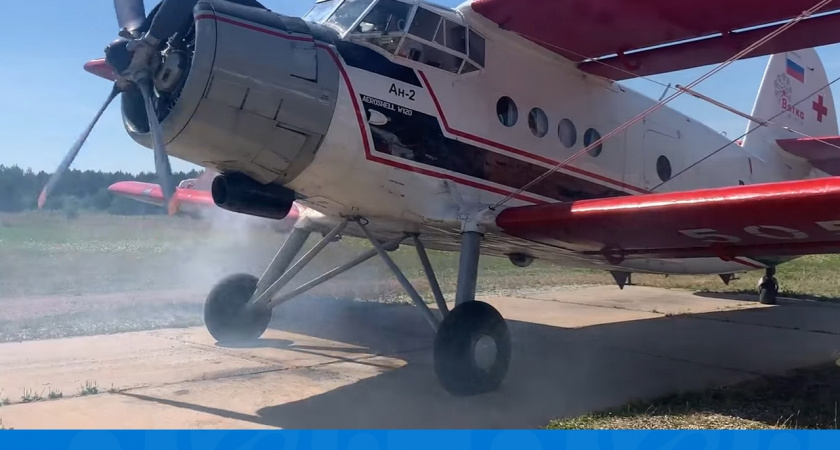 В Кирово-Чепецком районе аварийно сел самолет: пилот и пассажиры живы