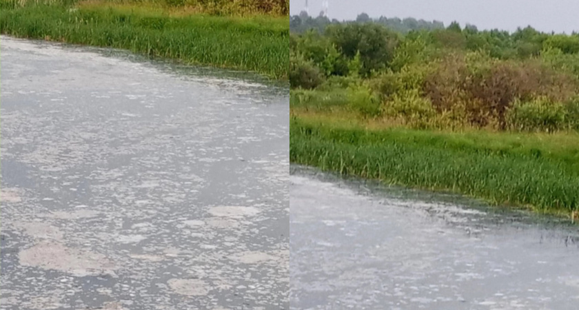 В одной из рек Кировский области нашли нефтепродукты