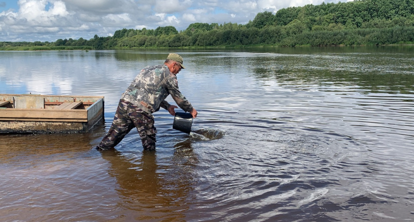 Филиал "КЧХК" продолжает руслорегулирующие работы на реке Вятка
