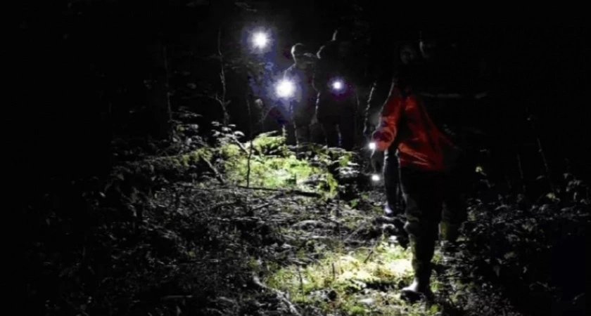 Пропавшая жительница Кировской области найдена погибшей