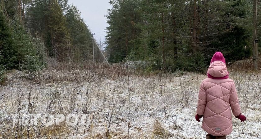 До -19 градусов: синоптики предупреждают жителей Кирово-Чепецка о мощном похолодании