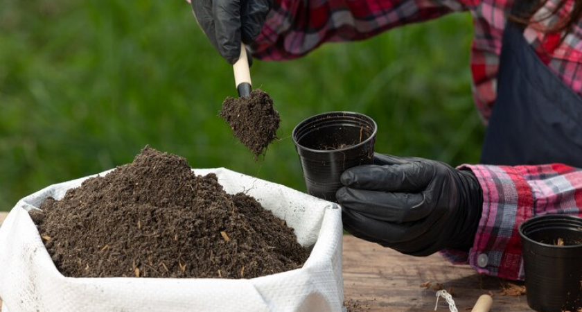 Гуманитарная партия удобрений Группы "Уралхим" для Нигерии отправлена из Европы