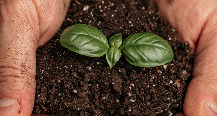 Группа "Уралхим" подписала меморандум о поставках удобрений в Китай