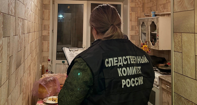 В Кирово-Чепецке женщина случайно убила сожителя, оттолкнув его от себя