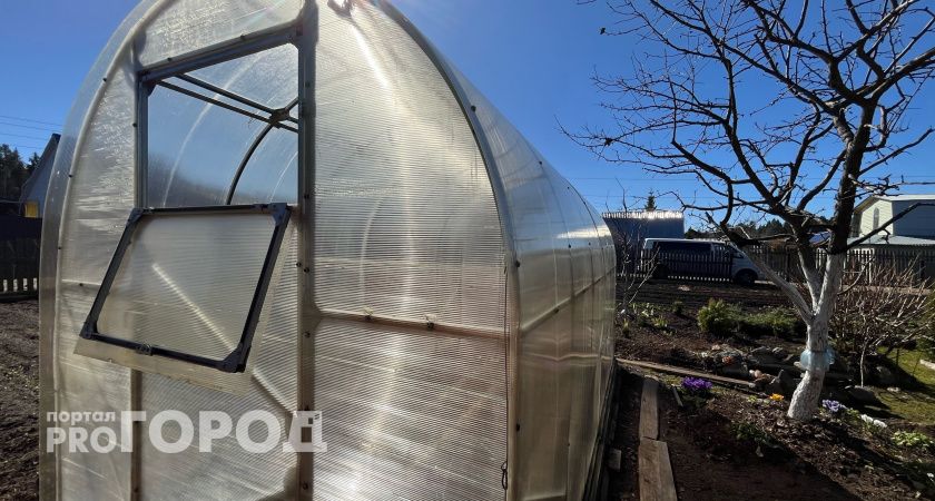 Это самая вредная ягода: а мы едим ее каждый день и детей заставляем