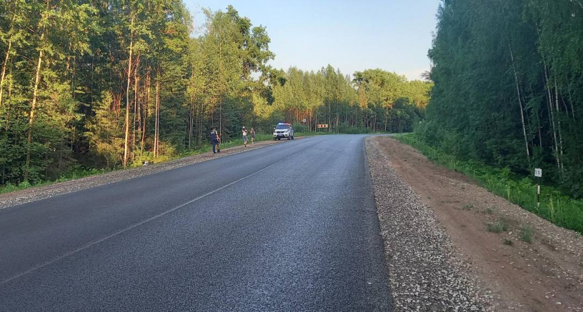 В Кирово-Чепецком районе мотоциклист вылетел с дороги и опрокинулся