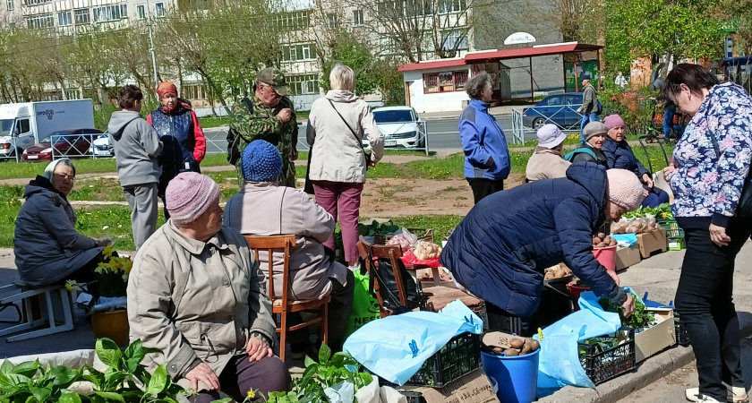 Праздничный выходной 8 июля: россияне заплакали, узнав о таком подарке. Как будем отдыхать