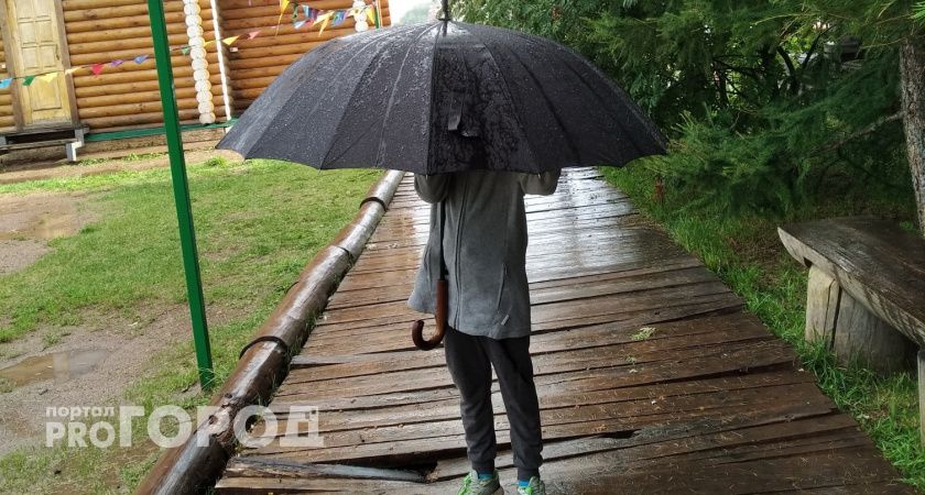 Кировскую область настигнут дожди: прогноз погоды на конец июля - начало августа