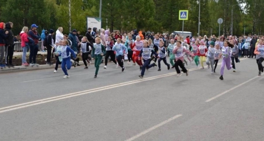 В Кирово-Чепецке пройдет городское соревнование по бегу "Кросс нации - 2024" (0+)