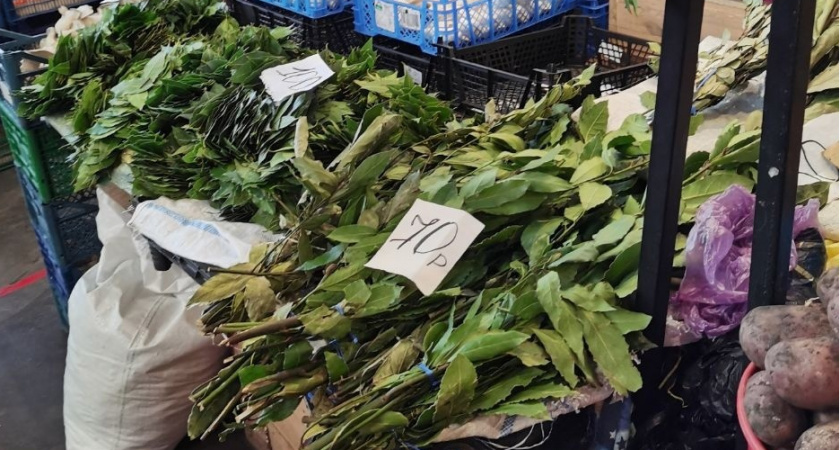 Ушлые хозяйки кладут под ковер лаврушку: так избавляются от надоевших проблем до 2025 года — нужно всего 4 листочка