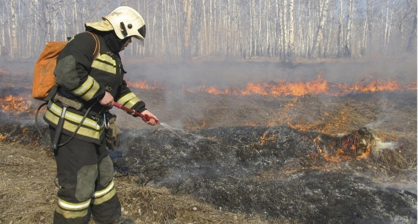 В лесах Кировской области установят чрезвычайный класс пожароопасности