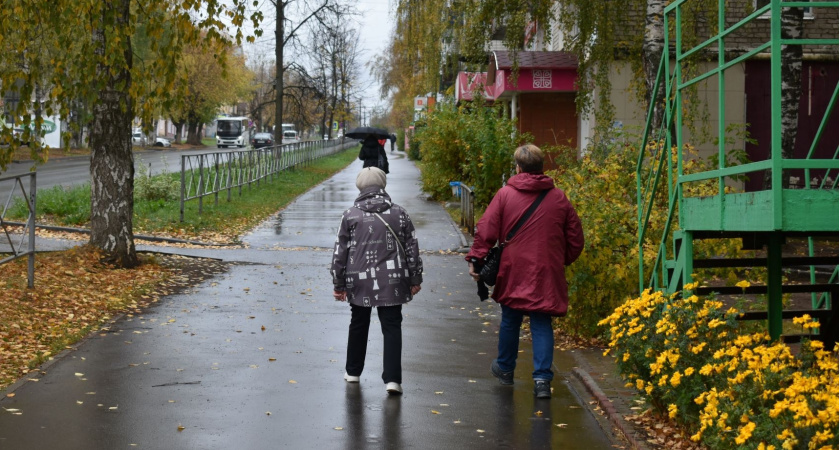 Указ подписан. Новая льгота вводится для пенсионеров, у которых пенсия ниже 31 470 рублей