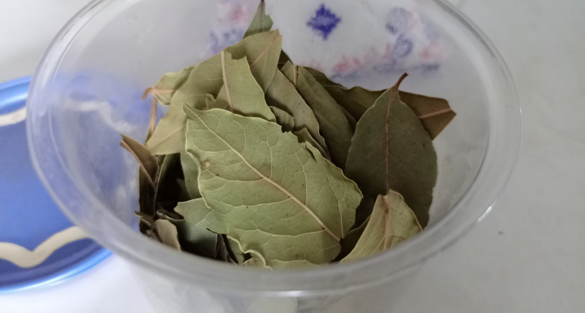 С первыми холодами кладу лист лаврушки под батарею: вот как влияет на быт – близкие ценят