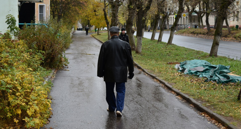 В Кирово-Чепецк придет кратковременное потепление: какой будет погода на выходных 