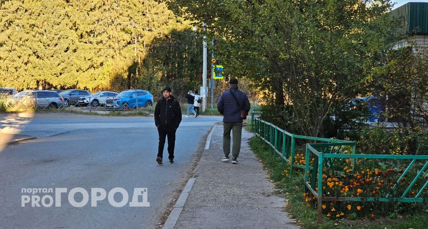 Пока без заморозков и осадков: известно, сколько в Кирово-Чепецке продержится ровная погода