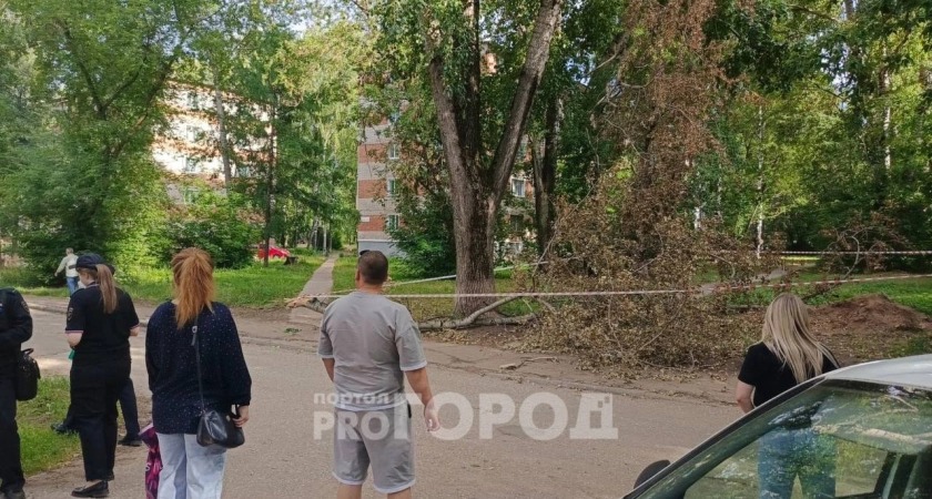 "Наблюдаем за действиями властей и ждем суда": родители погибшей от упавшей ветки девочки о жизни после трагедии