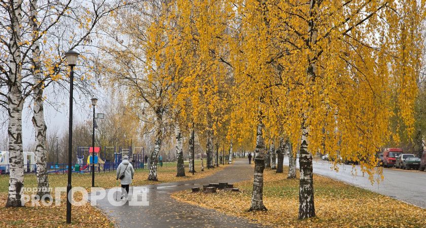 Туман и снег с дождем: какой будет погода в Кирово-Чепецке на неделе с 28 октября