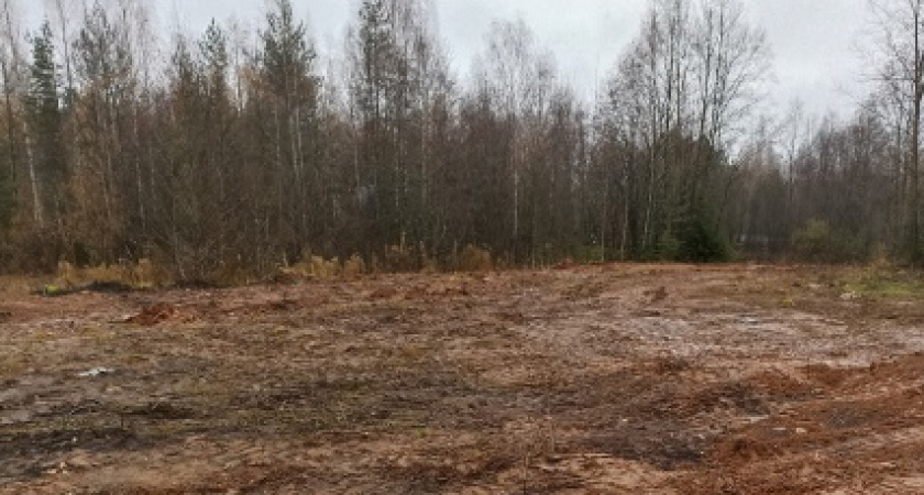 В Кирово-Чепецком районе убрали свалку 