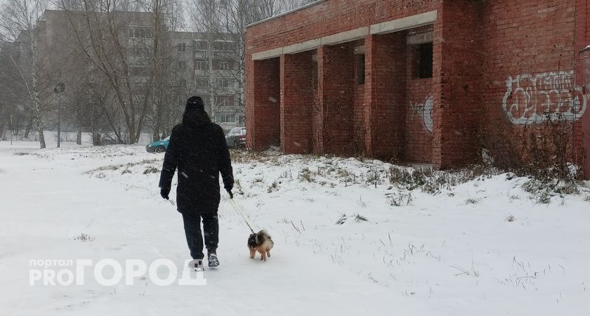 Жителям Кировской области метеорологи обещают теплый декабрь