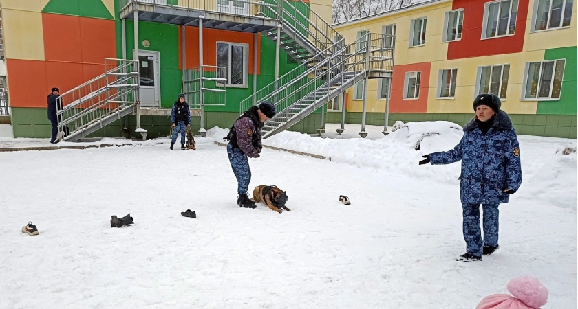 Детский сад Кирово-Чепецка посетили служебные собаки