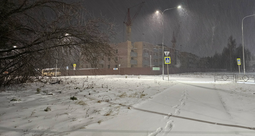 Ледяной дождь, метель и гололедица: в Кировской области погода свирепствует