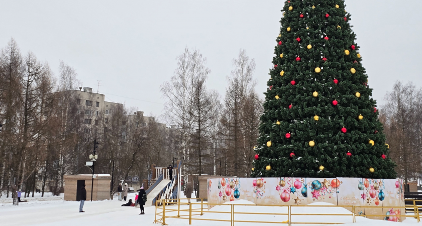 Приняли жесткое решение о новогодних выходных? Январские каникулы изменятся до неузнаваемости