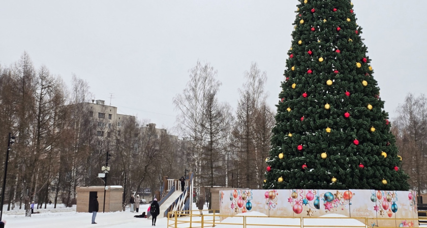 "Елка в каждый двор": мероприятия, которые пройдут в Кирово-Чепецке 6 января