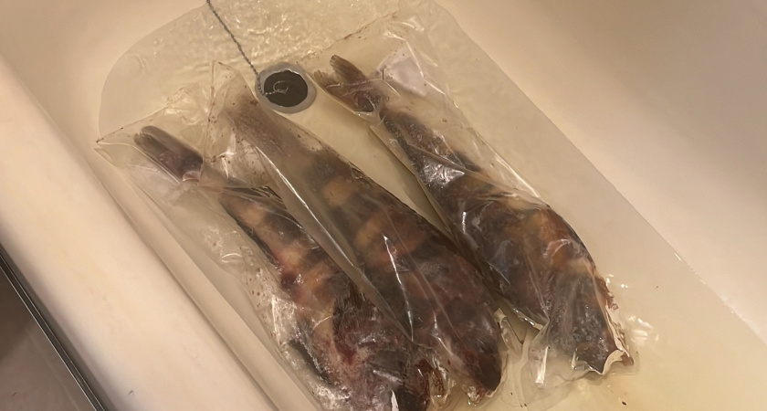 Определена самая полезная для человека рыба - употребляйте ее дважды в неделю: богата селеном, фосфором и хороша на вкус