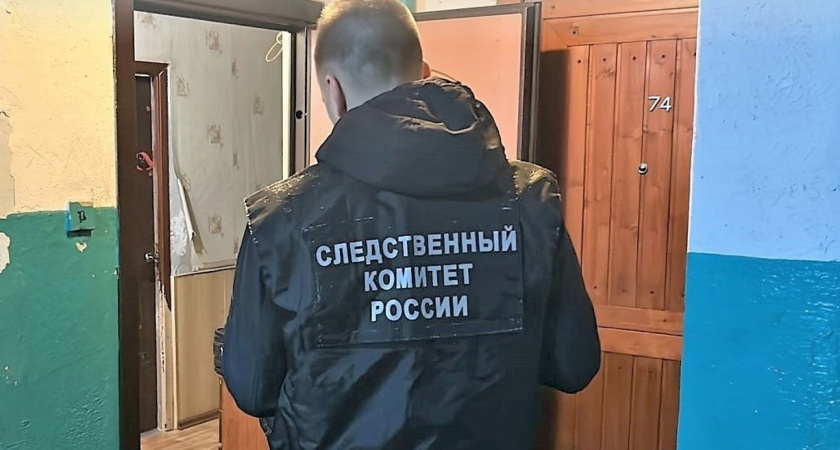 В Кирове будут судить мужчину, убившего приятеля и скрывшегося с его телефоном