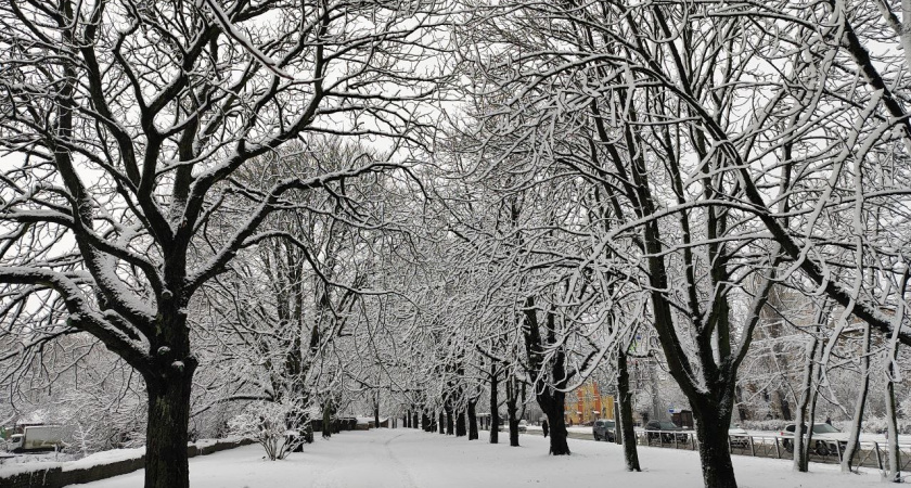 Весной ударят аномальные морозы, которые будут хлеще зимних. Синоптики огорошили прогнозом на март и апрель