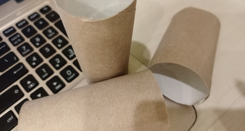 Втулки от туалетной бумаги берегу как зеницу ока: вот как они помогают в быту — полезная вещь для решения кучи проблем