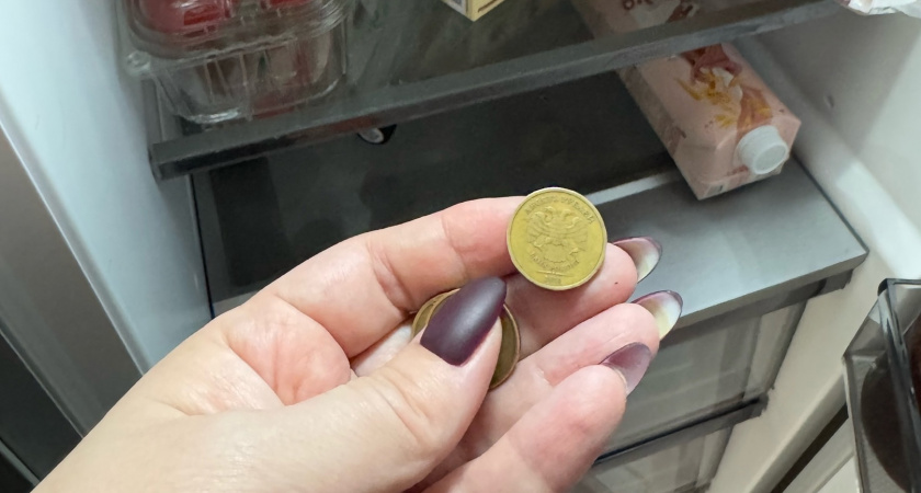 По совету бабушки теперь всегда кладу монетку в холодильник: простое действие убережет от серьезных отравлений