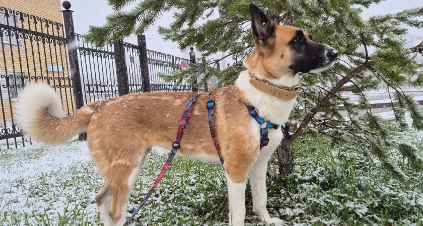 Холода еще подложат нам всем свинью: Вильфанд назвал даты в мае, когда можно высаживать рассаду