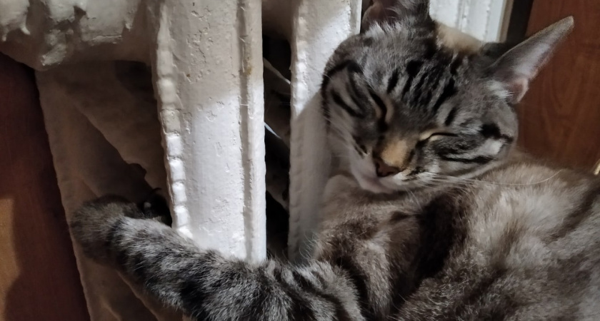 Батареи в домах чепчан начнут остывать 13 мая