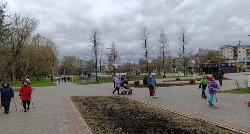 Циклоны принесут сильные дожди в Кировскую область